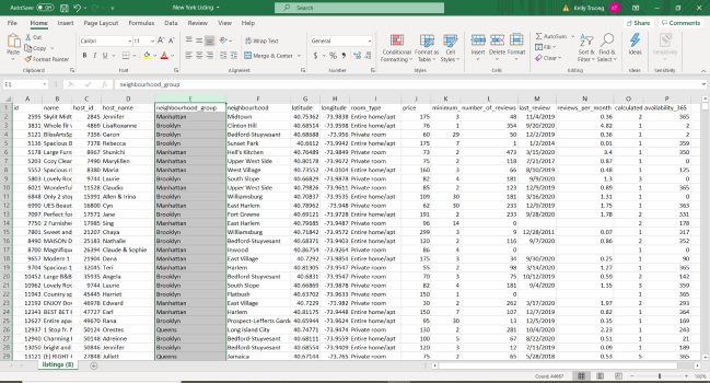 excel screenshot of data variables from Airbnb Listings